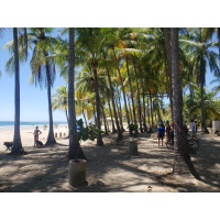 Playa Carrillo BBQ picnic package rental
