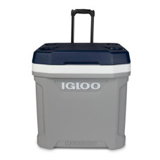 Cooler