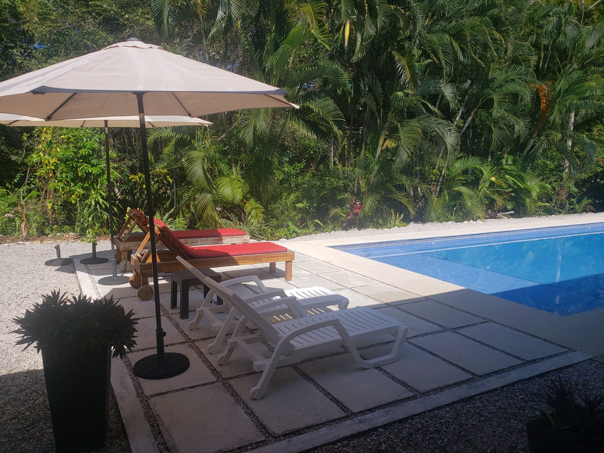 Loungers and umbrellas