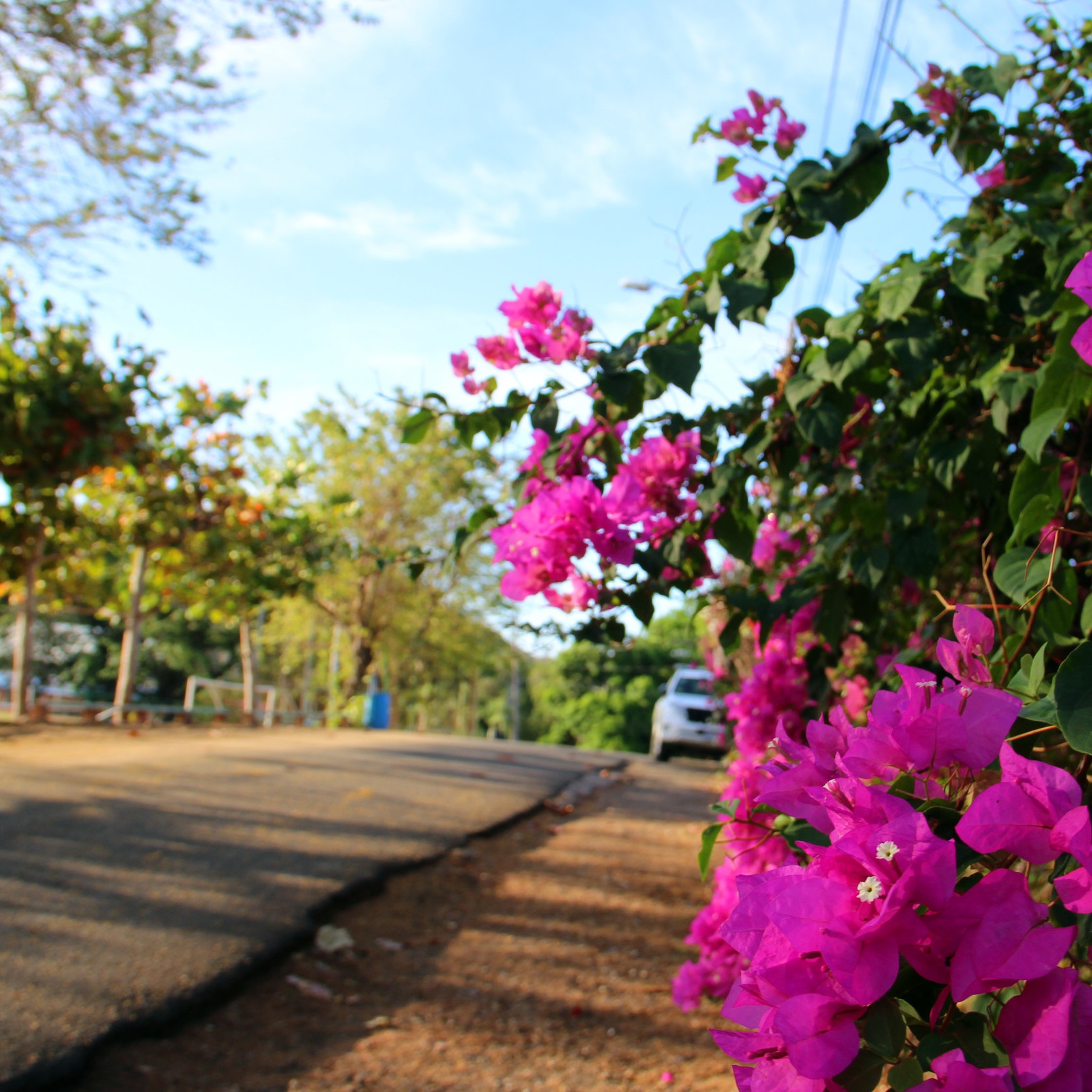 Carrillo Village of Carrillo