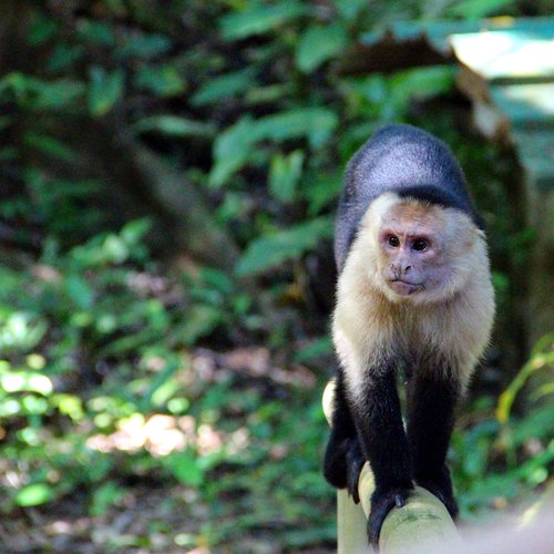 National Parks National Parks