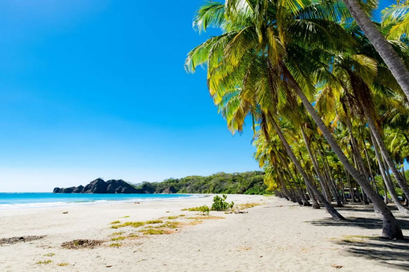 White sand at Carrillo Beach