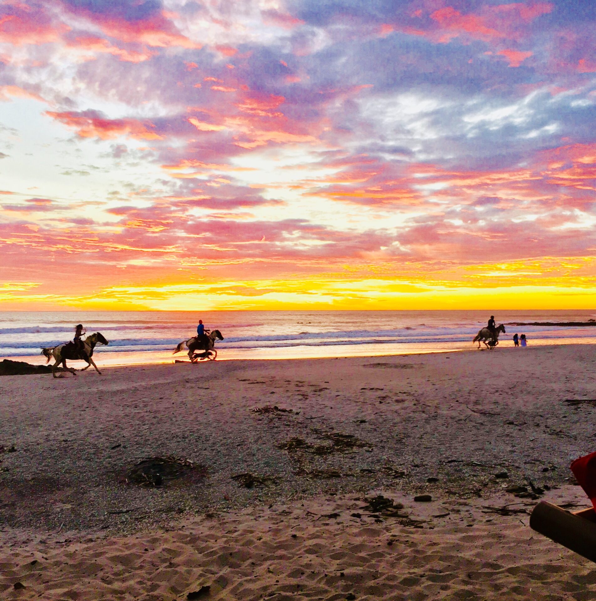 horseback riding Horseback Riding