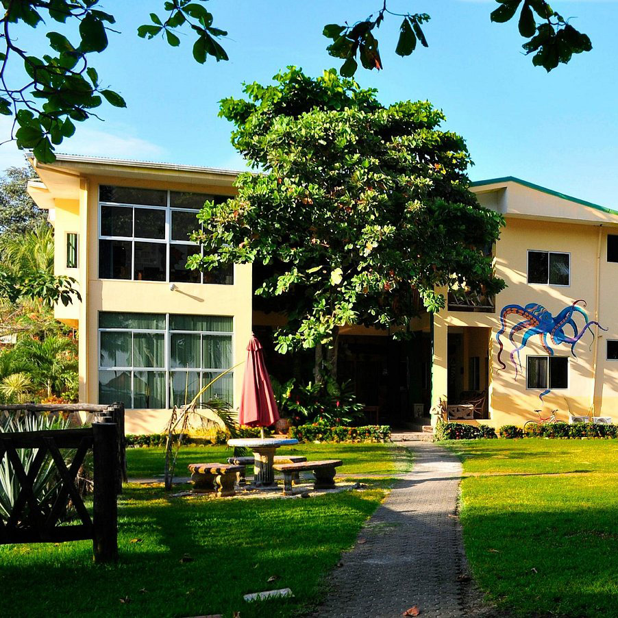 samara-language-school Samara language school