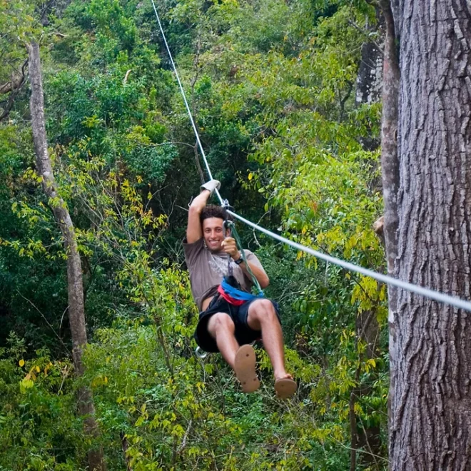 Wingnuts Canopy Tours