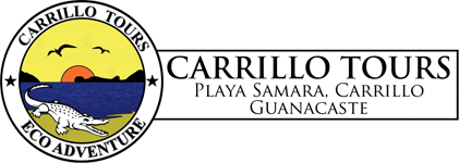 Carrillo-Tours Carrillo Tours