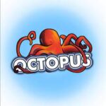 Octopus Tours Octopus Tours
